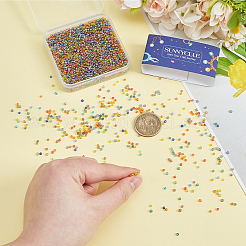 60G Glass Seed Beads&nbsp;SEED-SC0001-64B