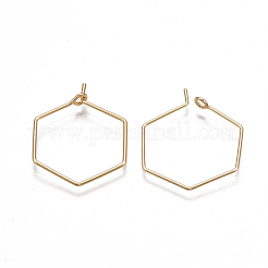 Brass Earring Hooks&nbsp;KK-T038-424A-G