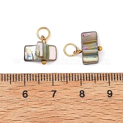 AB Color Natural Freshwater Shell Pendants&nbsp;PALLOY-JF05877