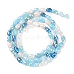 Electroplate Glass Beads Strands&nbsp;GLAA-P056-01B