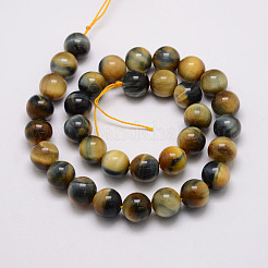 Natural Tiger Eye Bead Strands&nbsp;G-P230-08-F-10mm