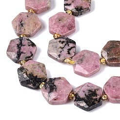 Natural Rhodonite Beads Strands&nbsp;G-N368-01A-22