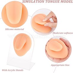 Soft Silicone Tongue Flexible Model Body Part Displays with Acrylic Stands&nbsp;ODIS-WH0002-23