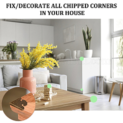 8Pcs Triangle Brass Corner Protectors&nbsp;FIND-DR0001-53