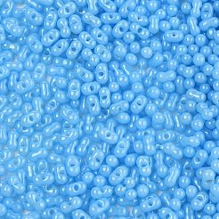 Baking Paint Glass Seed Beads&nbsp;SEED-L011-09A-06