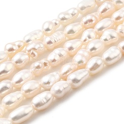 Natural Cultured Freshwater Pearl Beads Strands&nbsp;PEAR-I007-01J-01A