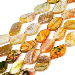 Dyed Natural Agate Beads Strands&nbsp;G-U029-I01