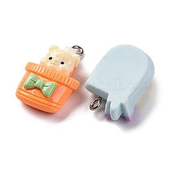 Bear Theme Opaque Resin Pendants&nbsp;CRES-M038-08