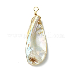 Electroplated Natural Freshwater Shell Pendants&nbsp;PALLOY-JF03336
