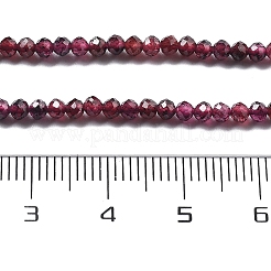 Natural Garnet Beads Strands&nbsp;G-H079-A01-02B