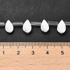 Natural Howlite Beads Strands&nbsp;G-Q167-A19-02