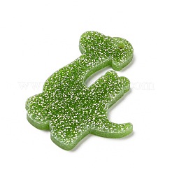 Printed  Acrylic Pendants&nbsp;MACR-F072-04C