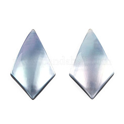 Natural Turbo Cornulus/Top Shells Cabochons&nbsp;SSHEL-N003-154