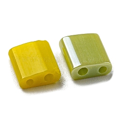 2-Hole Glass Seed Beads&nbsp;SEED-XCP0001-13