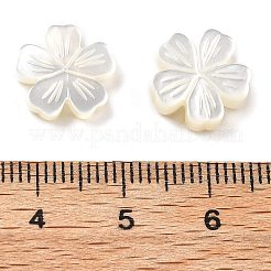 Natural White Shell Carved Beads&nbsp;SSHEL-Z002-02A