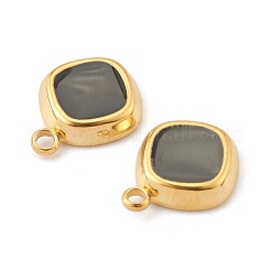Fashion 304 Stainless Steel Enamel Charms&nbsp;STAS-Z009-11G