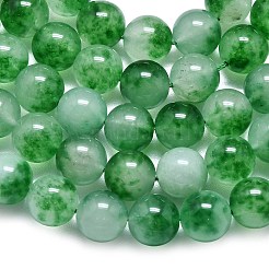 Natural Malaysia Jade Beads Strands&nbsp;G-L645-C01-12mm-28