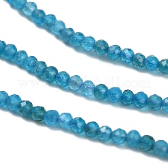 Natural Apatite Beads Strands&nbsp;G-Z106-A01-2mm