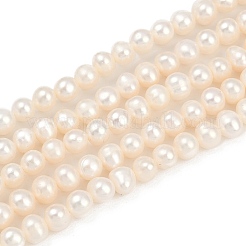 Natural Cultured Freshwater Pearl Beads Strands&nbsp;PEAR-I007-07Y-02A