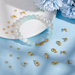 Zinc Alloy Lobster Claw Clasps & Brass End Bead Tips & Jump Rings Findings Kits&nbsp;DIY-GO0002-21G