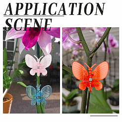 70Pcs Acrylic Claw Hair Clips&nbsp;PHAR-SP0001-30