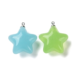 Acrylic Pendants&nbsp;MACR-D021-01