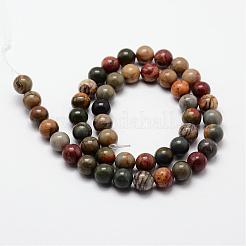 Natural Polychrome Jasper/Picasso Stone/Picasso Jasper Bead Strands&nbsp;G-O155-02B-8mm