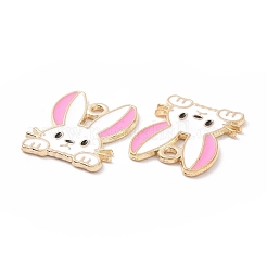 Alloy Enamel Pendants&nbsp;PALLOY-D015-08B