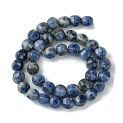 Natural Blue Spot Jasper Beads Strands&nbsp;G-H023-A07-01