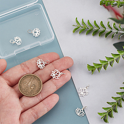 6Pcs 3 Styles 925 Sterling Silver Charms&nbsp;STER-PH0002-86