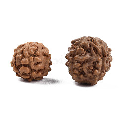 Undyed Natural Rudraksha Beads&nbsp;WOOD-T030-01