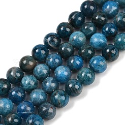 Natural Apatite Beads Strands&nbsp;G-I254-08D