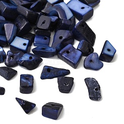Dyed Natural Freshwater Shell Chips Beads&nbsp;X-SHEL-O001-12C