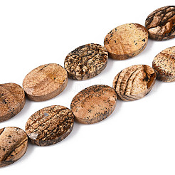 Natural Picture Jasper Beads Strands&nbsp;G-S354-13x18-A06