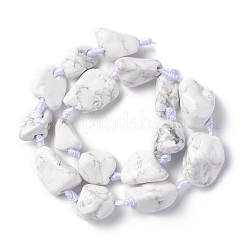 Natural Howlite Beads Strands&nbsp;G-B024-07