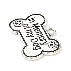 Tibetan Style Alloy Pendants&nbsp;FIND-B050-23AS