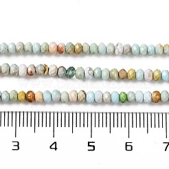 Natural Howlite Beads Strands&nbsp;G-H025-03B-06