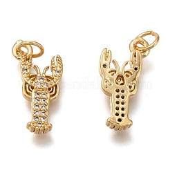 Brass Micro Pave Clear Cubic Zirconia Pendants&nbsp;ZIRC-B002-49