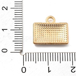 Alloy Enamel Charms&nbsp;PALLOY-E582-08KCG-01