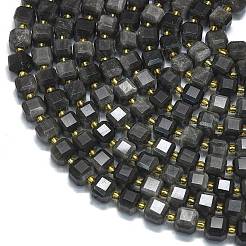 Natural Silver Obsidian Beads Strands&nbsp;G-K389-A41-01
