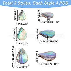 12Pcs 3 Styles Natural Abalone Shell/Paua Shell Beads&nbsp;SHEL-HY0001-02