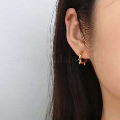 Stainless Steel Hoop Earrings for Men&nbsp;PW-WGCB245-01