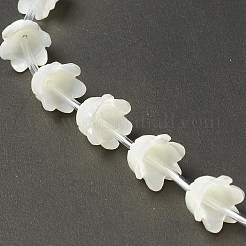 Natural Trochid Shell/Trochus Shell Bead Caps&nbsp;BSHE-B005-03