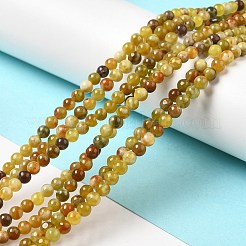 Natural Serpentine Beads Strands&nbsp;G-H298-A10-01