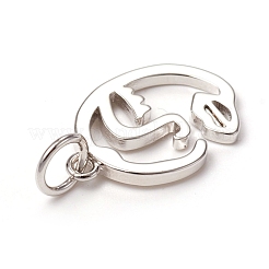 Brass Pendants&nbsp;KK-I668-26P