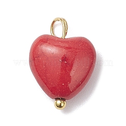 Dyed Synthetic Turquoise Heart Charms&nbsp;PALLOY-JF04356-01