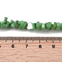 Natural Freshwater Shell Beads&nbsp;SHEL-B003-01E