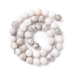 Natural Dolomite Beads Strands&nbsp;G-I318-10