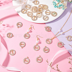 30Pcs Zinc Alloy Crystal Rhinestone Pendants&nbsp;RB-PH0001-20