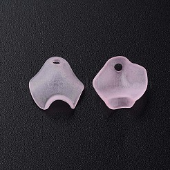 Transparent Acrylic Beads&nbsp;MACR-S373-106-D05